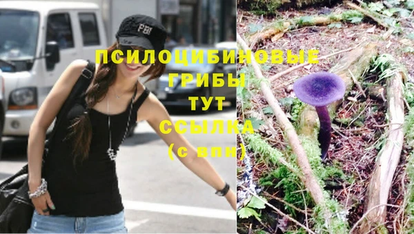 прущая мука Белоозёрский