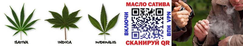 ТГК THC oil  блэк спрут как зайти  Курлово  где можно купить наркотик 